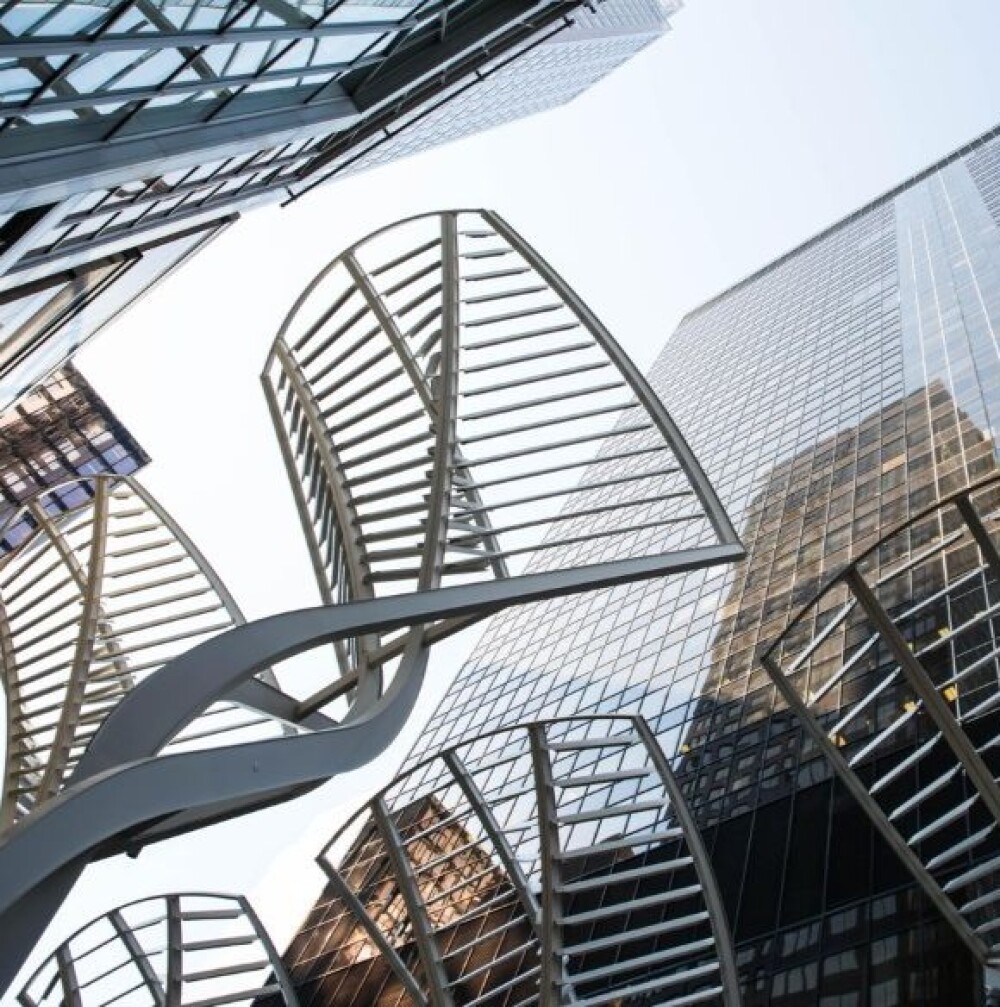 CED Bourgeois GalleriaTrees 01