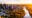 OCIF Express newsroom banner